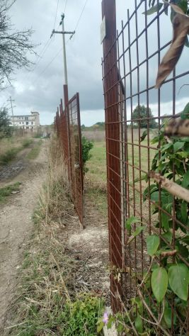 Terreno - Foto 6