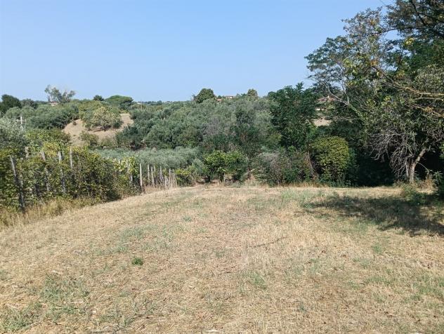Lanuvio - Foto 7
