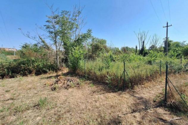 Immobile in asta di 2741 m² in vendita a Montecassiano - Foto 10