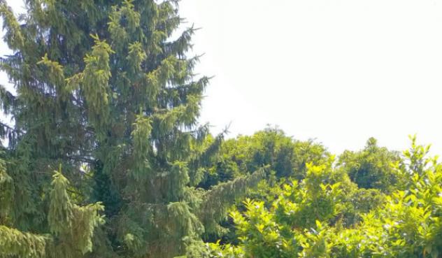 Immobile in asta di 149 m², box auto in vendita a Suardi - Foto 2