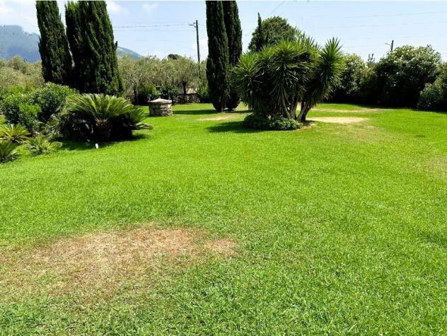 Villa in vendita a Pietrasanta - Foto 7