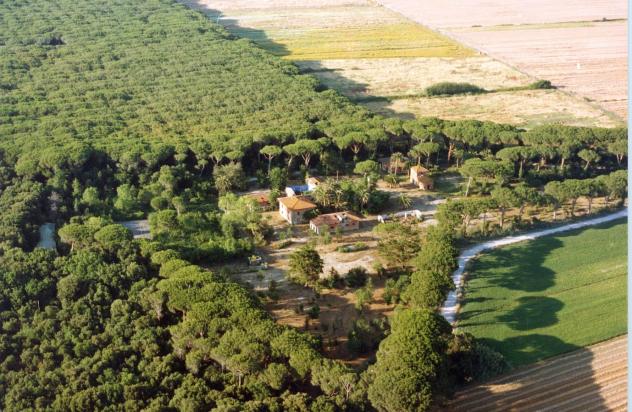Agriturismo in Vendita in zona DONORATICO con giardino - Foto 3