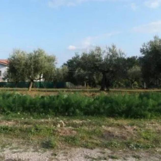 Immobile in asta di 1135 m² in vendita a Collecorvino - Foto 5