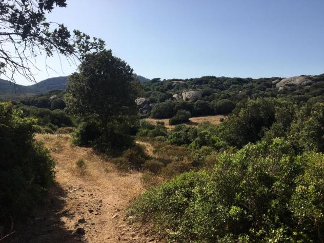 Terreno agricolo in vendita a Luogosanto 45000 mq Rif: 1356628 - Foto 9