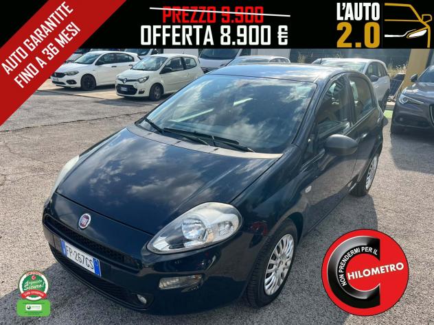 Fiat Punto 1.3 MJT II S&S 95 CV 5 porte Street