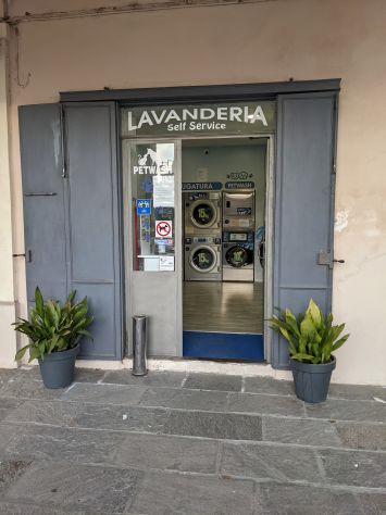 cedesi attivita