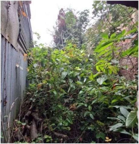 Immobile in asta di 107 m² in vendita a Fiscaglia - Foto 7