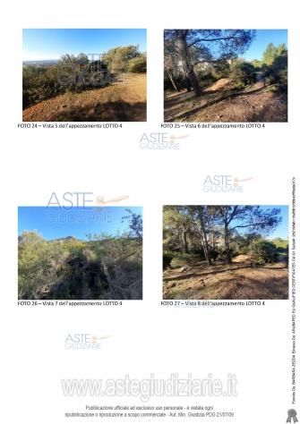 IMMOBILI-ALTRA CATEGORIA-Loc. Su Surdagu - Foto 3