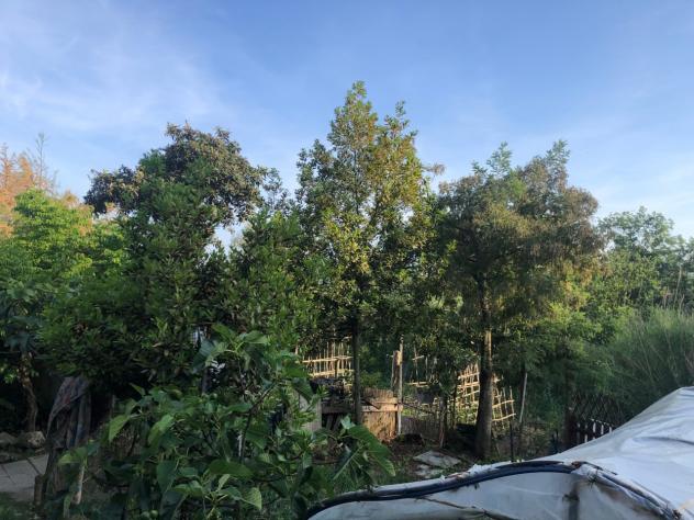 Rustico in vendita a Sarzana - Foto 3