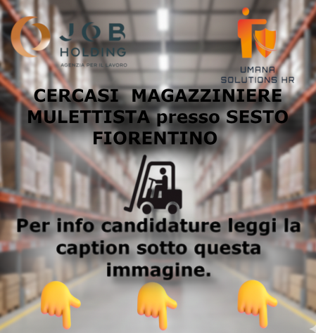 MAGAZZINIERE MULETTISTA