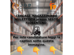 MAGAZZINIERE MULETTISTA
