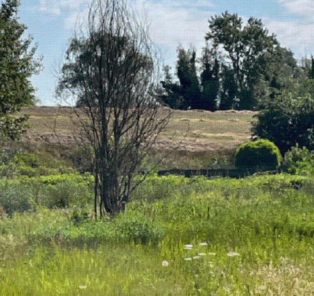 Immobile in asta di 3 m² in vendita a Borgo Mantovano - Foto 13