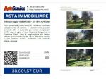 Tribunale Foggia - RGE 367/2021 - L5 -  Tribunale Foggia - RGE 367/2021 - L &hellip;