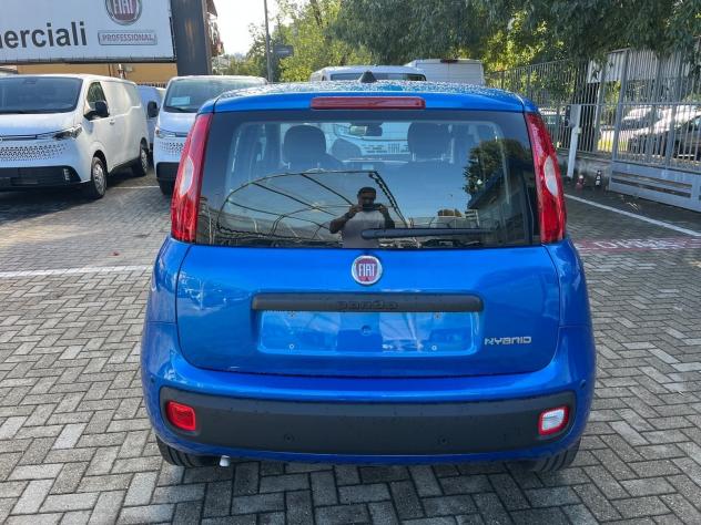 FIAT Pandina Pandina 1.0 firefly hybrid Icon s&s 65cv - Foto 8