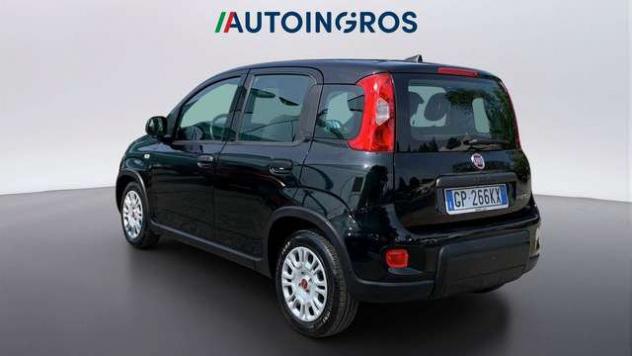 FIAT Panda 1.0 firefly hybrid s&s 70cv - Foto 3
