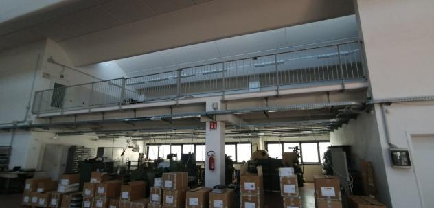 Industriale/Artigianale in vendita a Novi di Modena - Foto 10