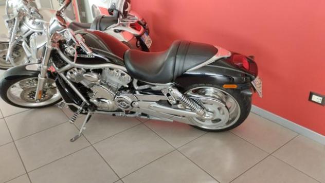 HARLEY-DAVIDSON VRSCDX Night Rod Special VROAD SPECIAL rif. 20949732 - Foto 3
