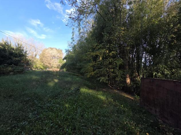 Terreno edif. residenziale in vendita a Segromigno In Monte - Capannori 2000 mq Rif: 1361787 - Foto 2