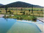 Vendita Rustico casale da 500 mq  con giardino