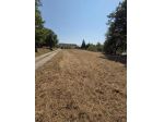 Terreno agricolo in vendita a Forabosco - Porcari 900 mq  Rif: 1448389