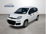 FIAT Pandina 1.0 FireFly 65 CV Hybrid Icon rif. 23808027