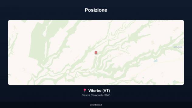 Immobile in asta di 717 m² in vendita a Viterbo - Foto 10