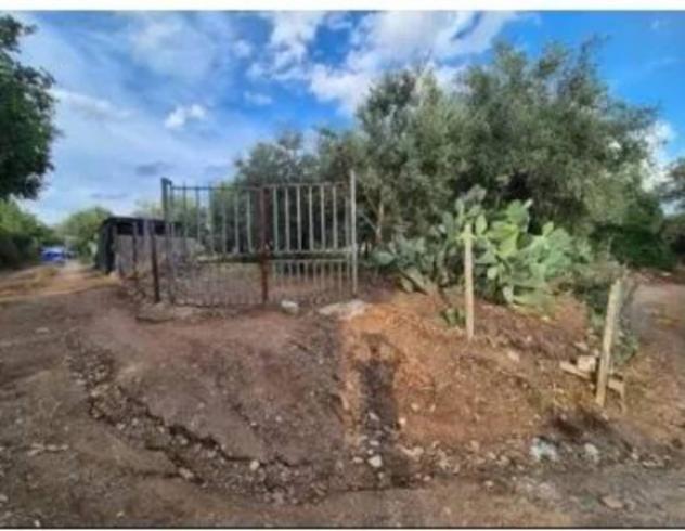 Immobile in asta di 470 m² in vendita a Bovalino - Foto 4