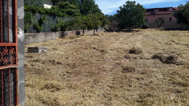 TERRENO AGRICOLO di 1300 mq (POMEZIA) rif. C/305 - Foto 15