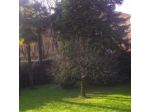 Giardino in Città