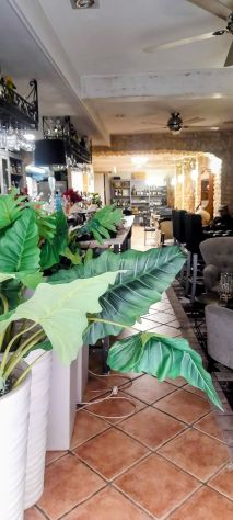 RISTORANTE CON STILE UNICO NEL CENTRO DI ELCHE VALENCIA SPAGNA - Foto 5