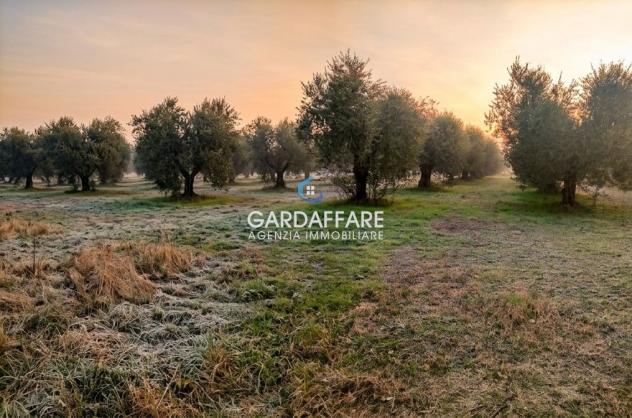 TERRENO AGRICOLO A MANERBA DEL GARDA