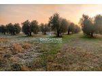 TERRENO AGRICOLO A MANERBA DEL GARDA