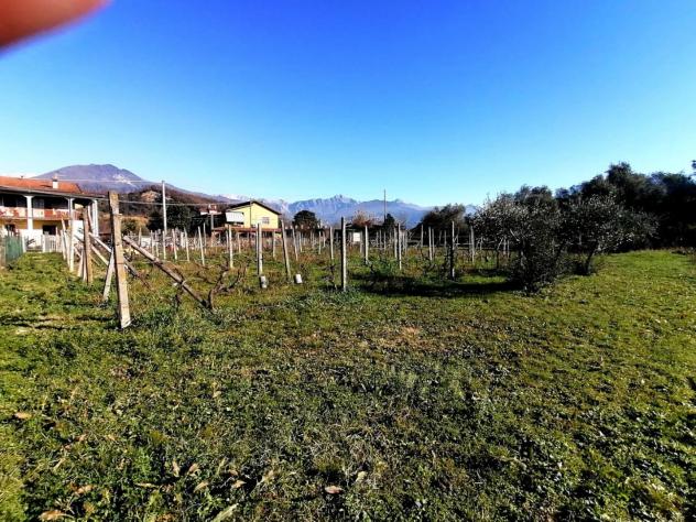 Terreno agricolo in vendita a Alteta - Massa 1600 mq Rif: 1026924 - Foto 3