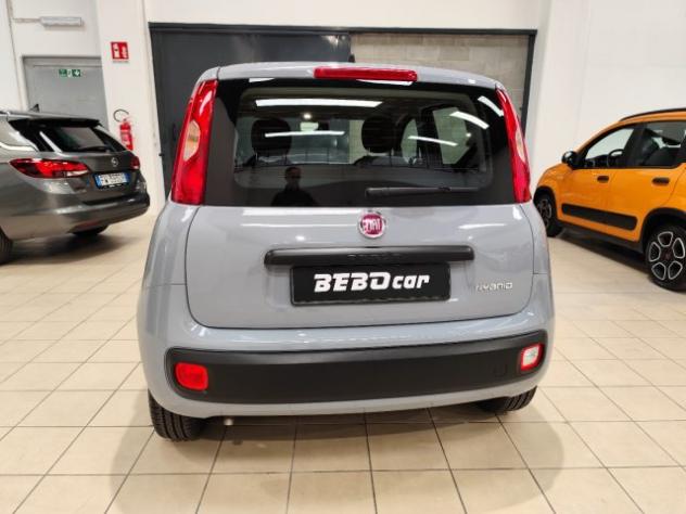 FIAT Panda 1.0 FireFly S&S Hybrid rif. 21813189 - Foto 7