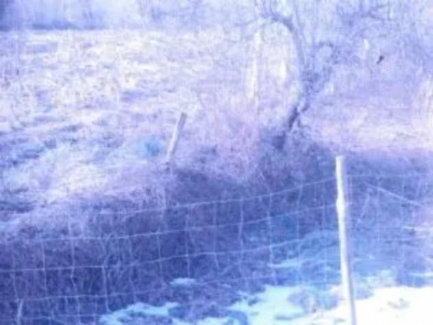 Immobile in asta di 119 m² in vendita a Fivizzano - Foto 4