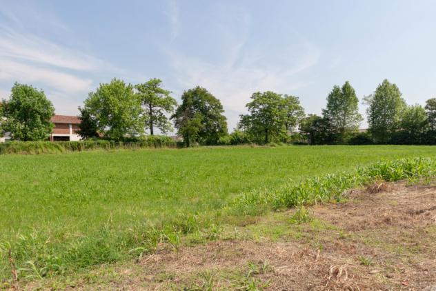 Terreno edificabile in vendita a Pozzoleone - Foto 7