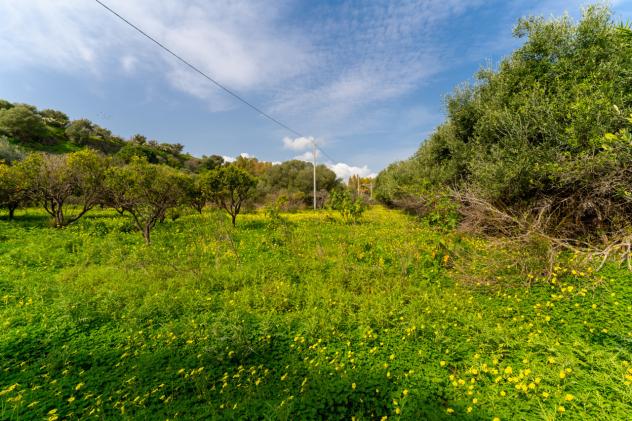 Agricolo in vendita a Catania - Foto 15