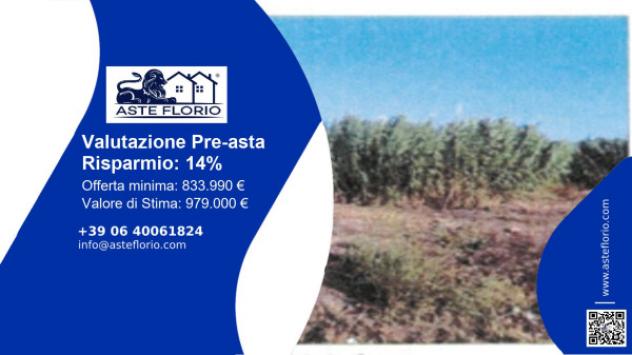 Immobile in asta di 31629 m² in vendita a Elmas