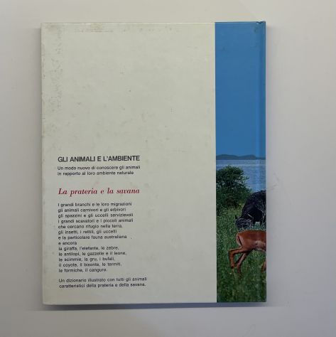 Gli animali e l'ambiente, La prateria e la savana, F. Colombo, 1974 - Foto 8