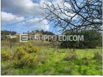 Terreno in vendita a Caulonia - Rif. 3554640