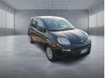 FIAT Panda 3ª serie  1.0 FireFly S&S Hybrid rif. 23920943
