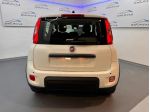 FIAT Panda 3ª serie Panda 1.0 FireFly S&S Hybrid