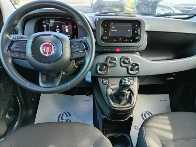 FIAT Panda 3ª serie Panda 1.0 FireFly S&S Hybrid - Foto 3