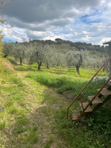 Annesso agricolo in vendita a Capannoli 6500 mq Rif: 1326738 - Foto 4