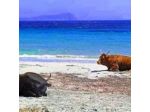Bed and Breakfast Tanca is Torus E4251