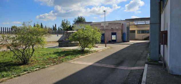 Locale commerciale in affitto a Galatone - Foto 6