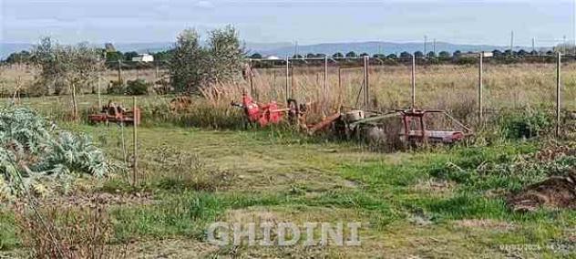 RUSTICO di 2 vani e di 130 mq (GROSSETO - POGGIALE) rif. 2537.28M - Foto 15
