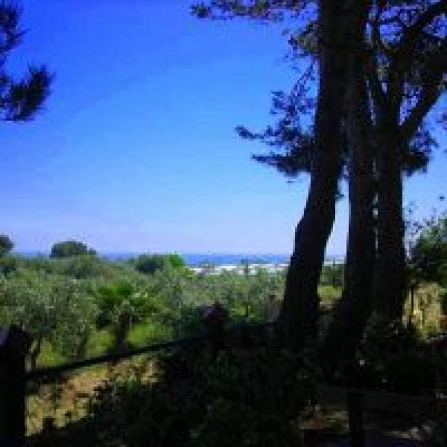 Il Lentisco