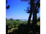 Il Lentisco