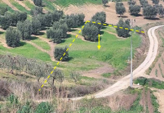 Immobile in asta di 43400 m² in vendita a Altomonte - Foto 7